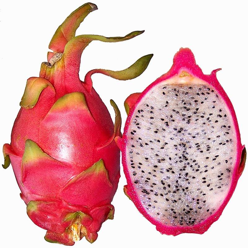 FRESH Dragon Fruit (Pitaya) 1pc
