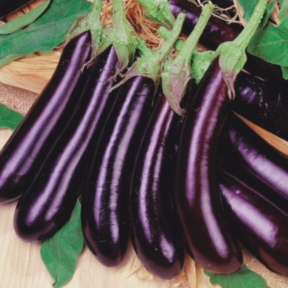 Long Ravaya - 500g