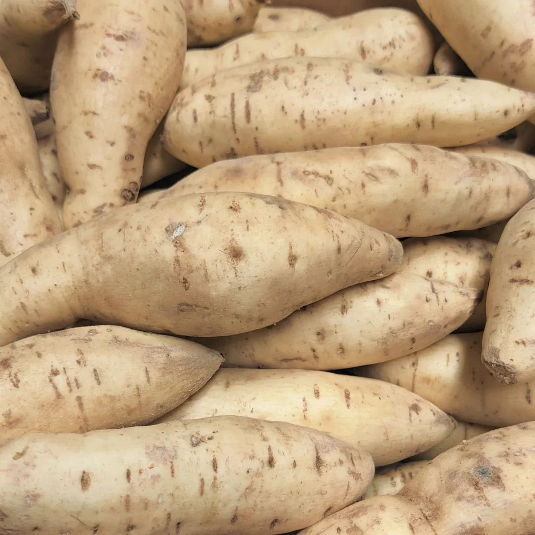 (Fresh) White Sweet Potato - 500gms - Fresh Vegetables - Vegspot