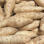White Sweet Potato - 500g