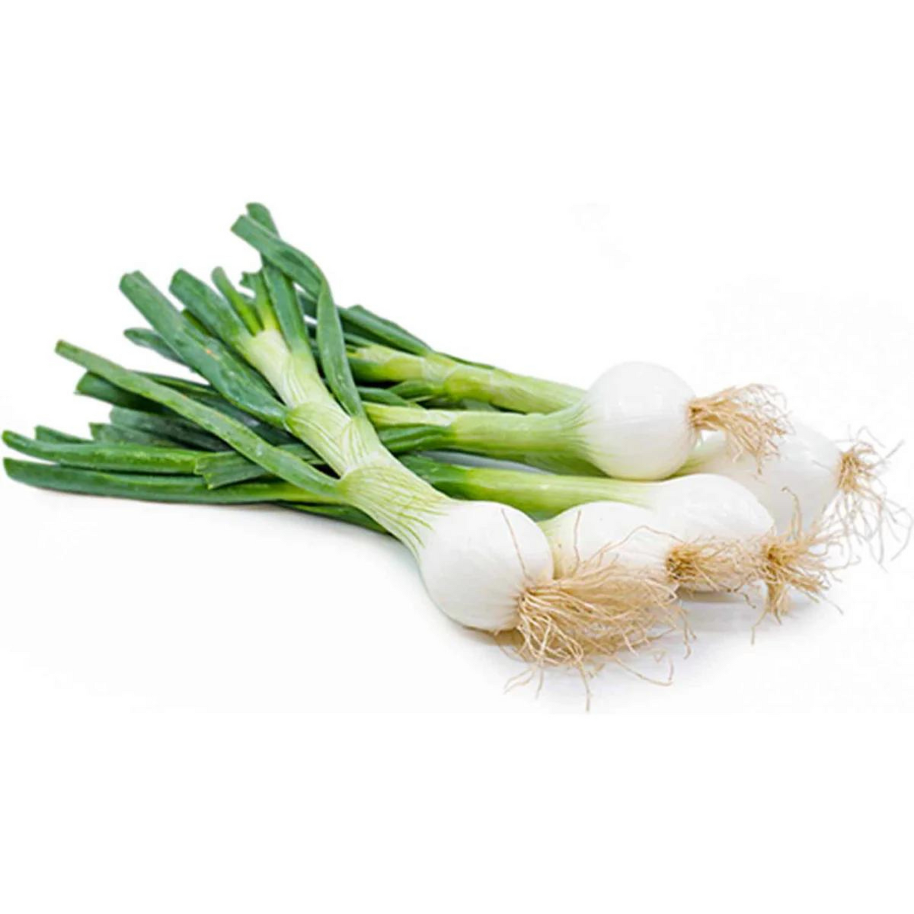 Spring Onion - 1 Piece