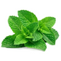Mint Leaves - 1 Bunch
