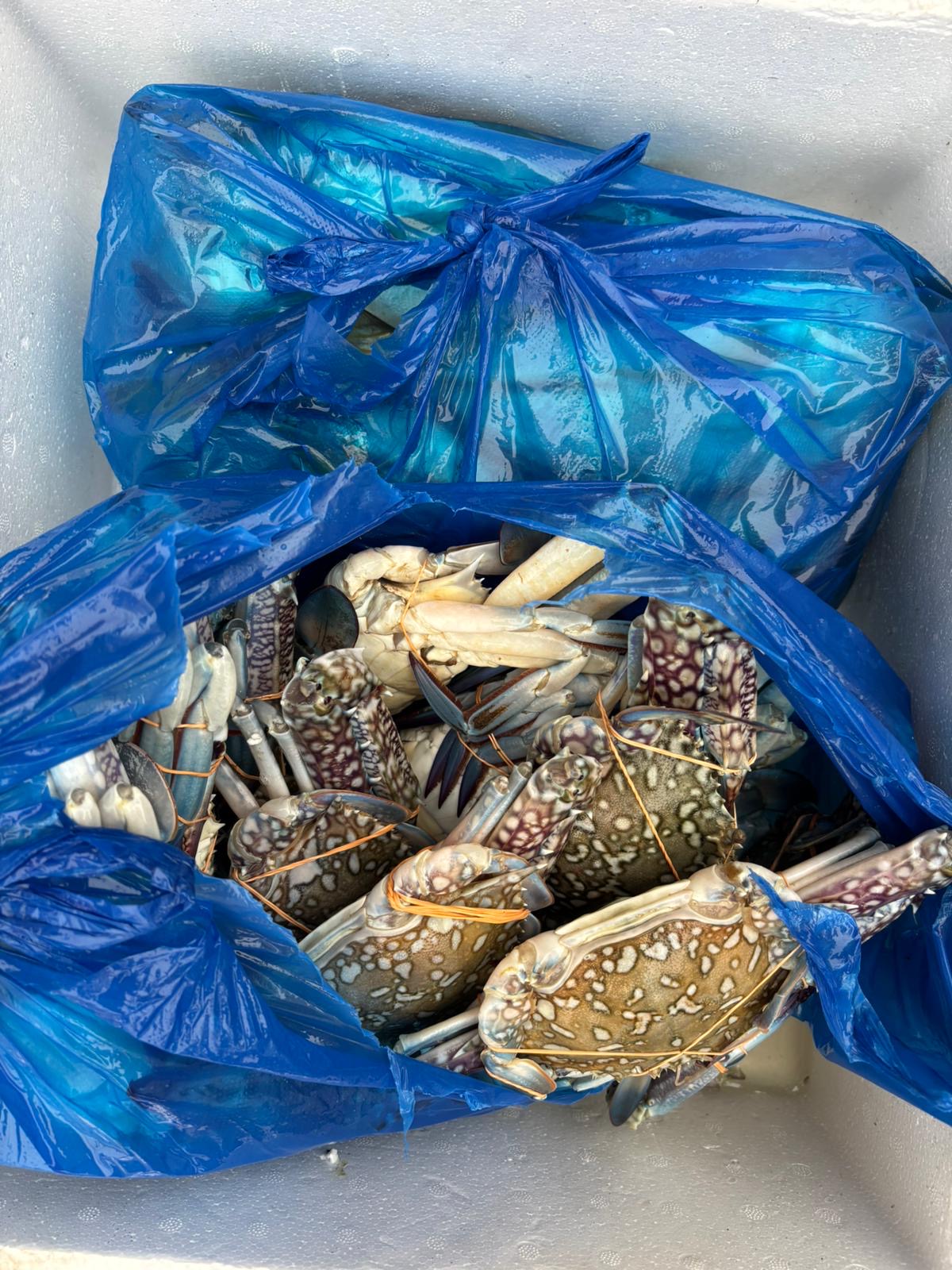 Blue grab 1 kg