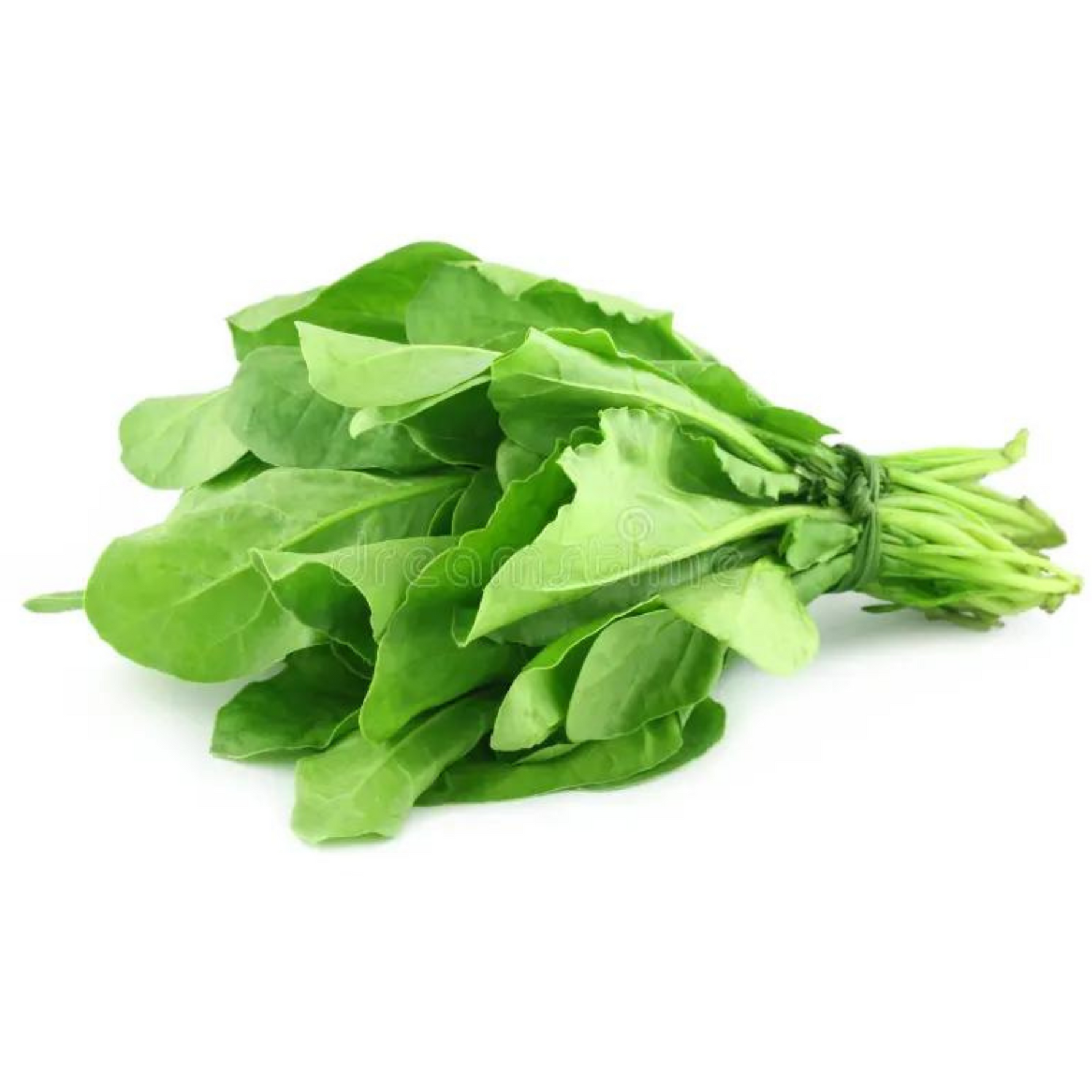 Spinach - 1 Bunch