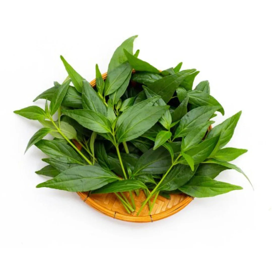(Fresh) Curry Leaves - 1 Bunch - Fresh Herbs & Spices - Vegspot