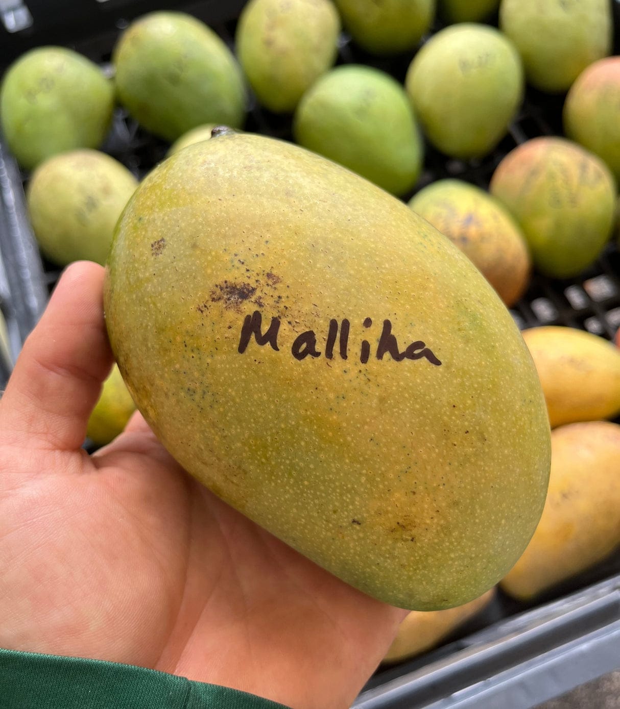 Mallika Mangoes 3Kg