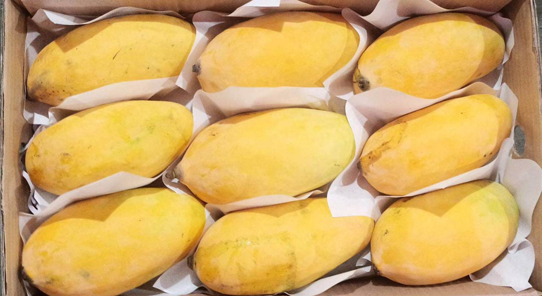 Pakistani Sindhri Mangoes 1.5Kg