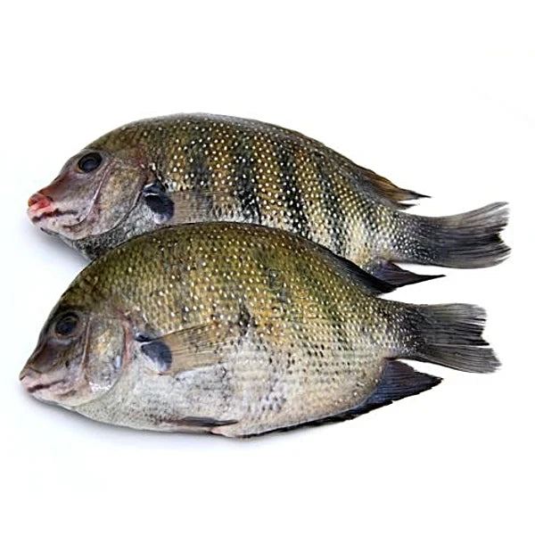 fresh parl spot fish 1 kg