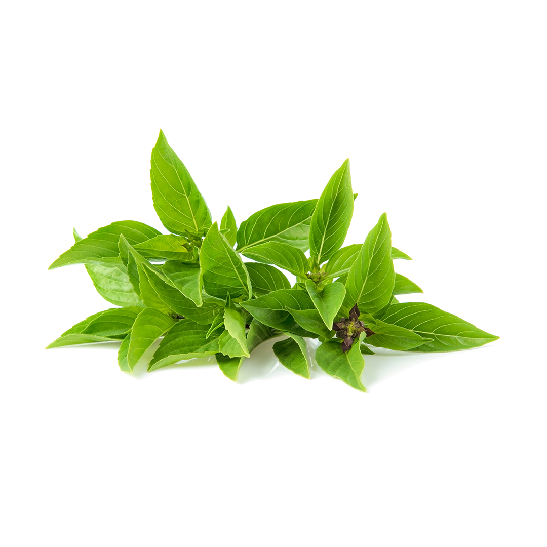 (Fresh) Thai Basil - Bunch