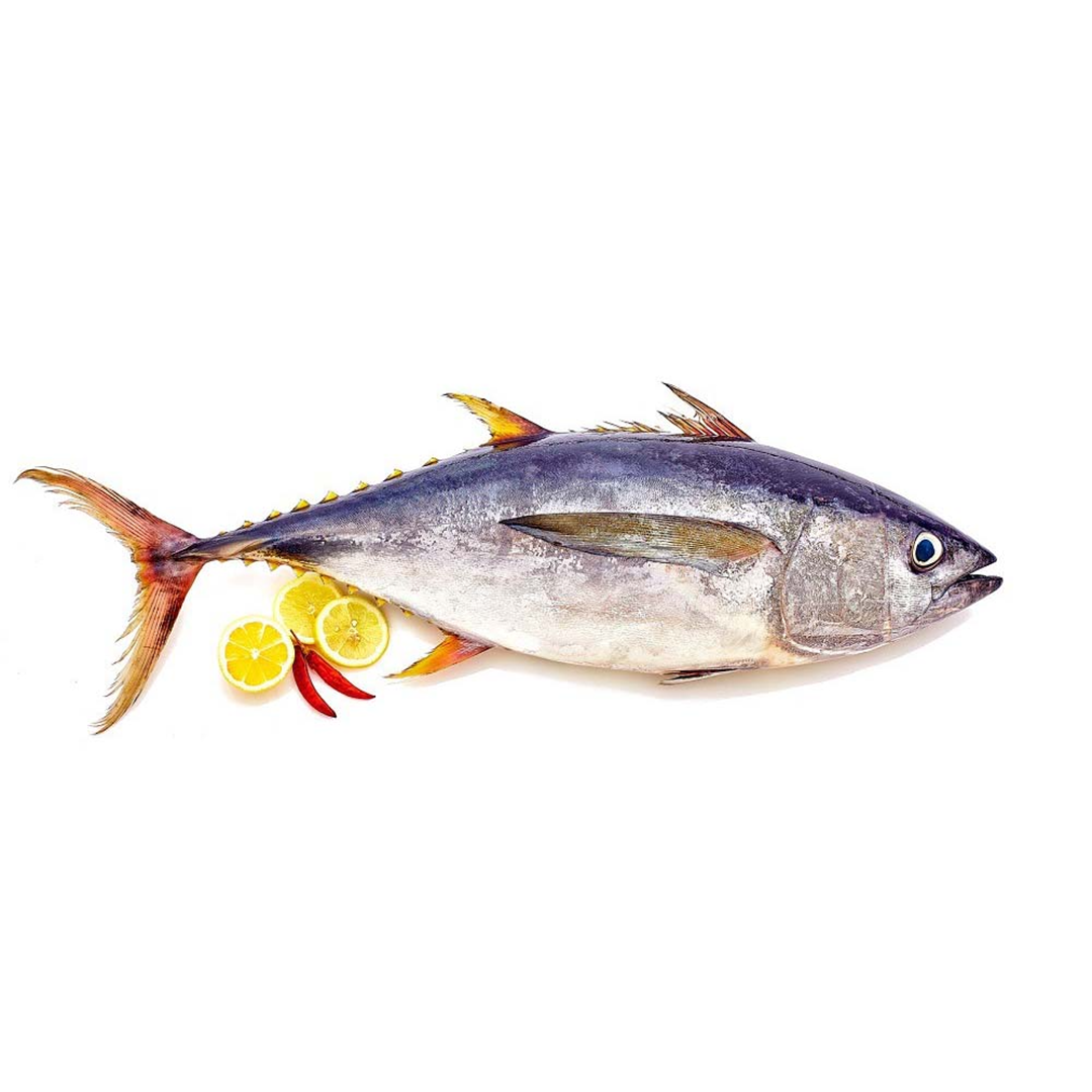 (Fresh) Tuna  - 1Kg