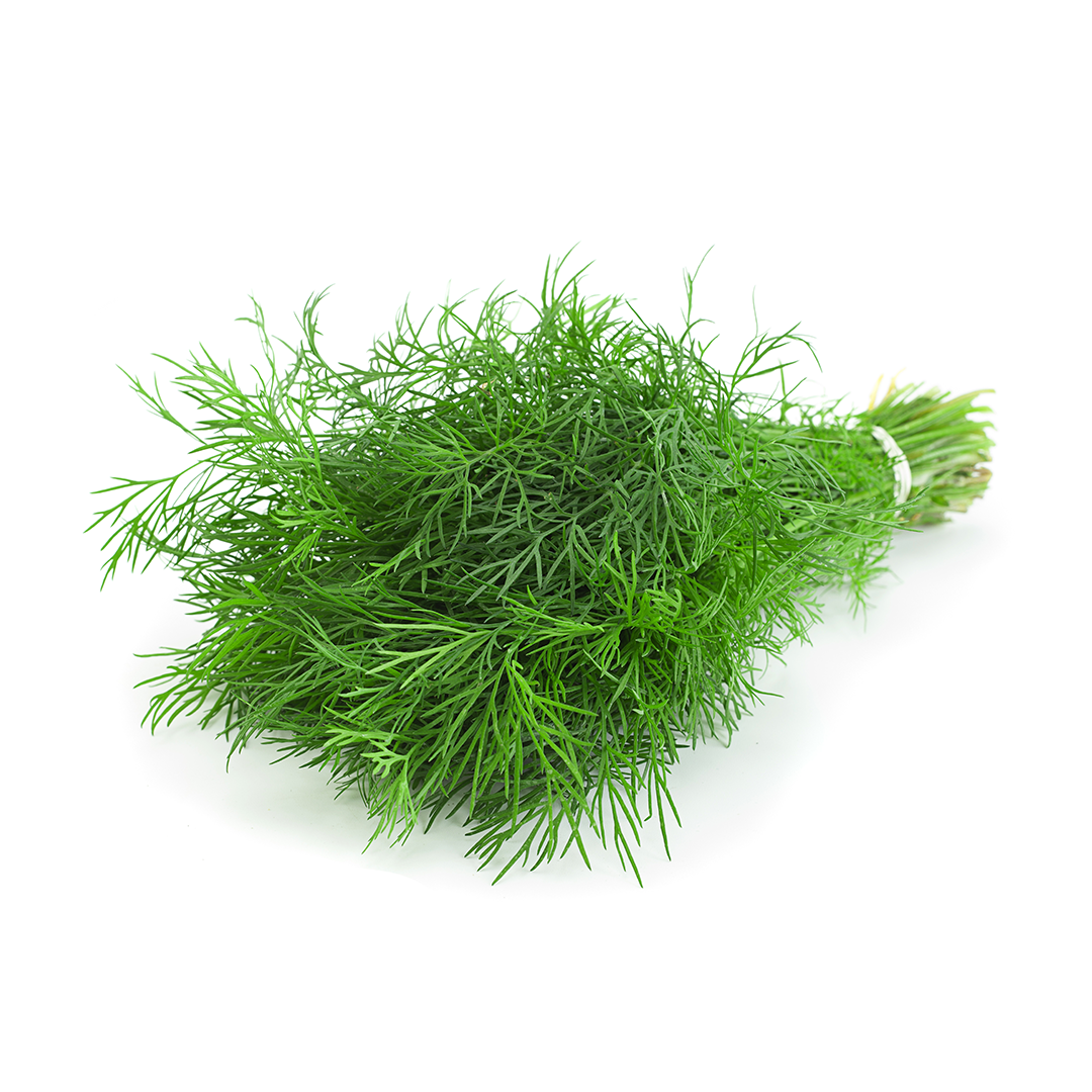 (Fresh) Dill - Bunch