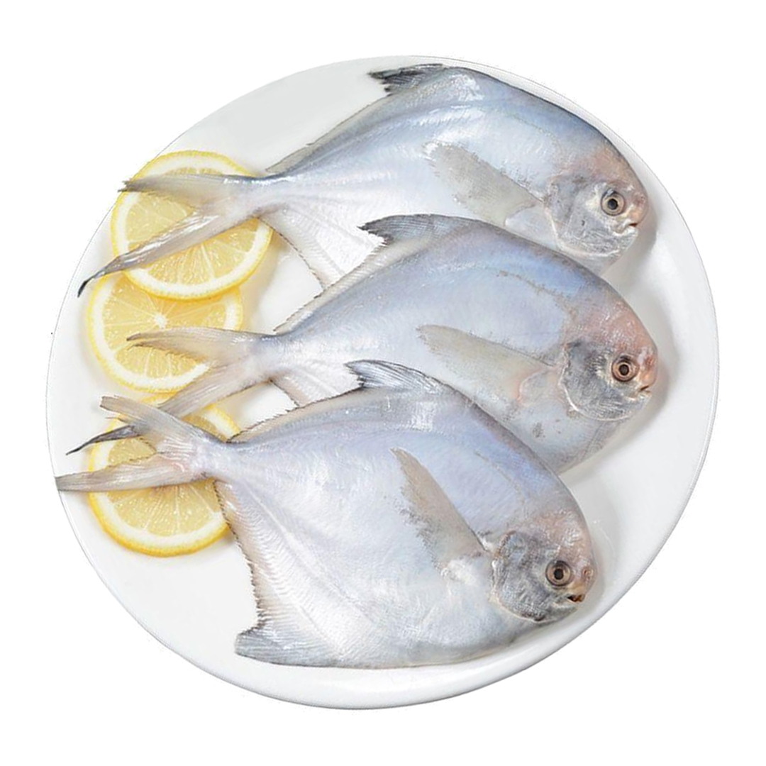 (Fresh) Silver Pomfret - 1Kg
