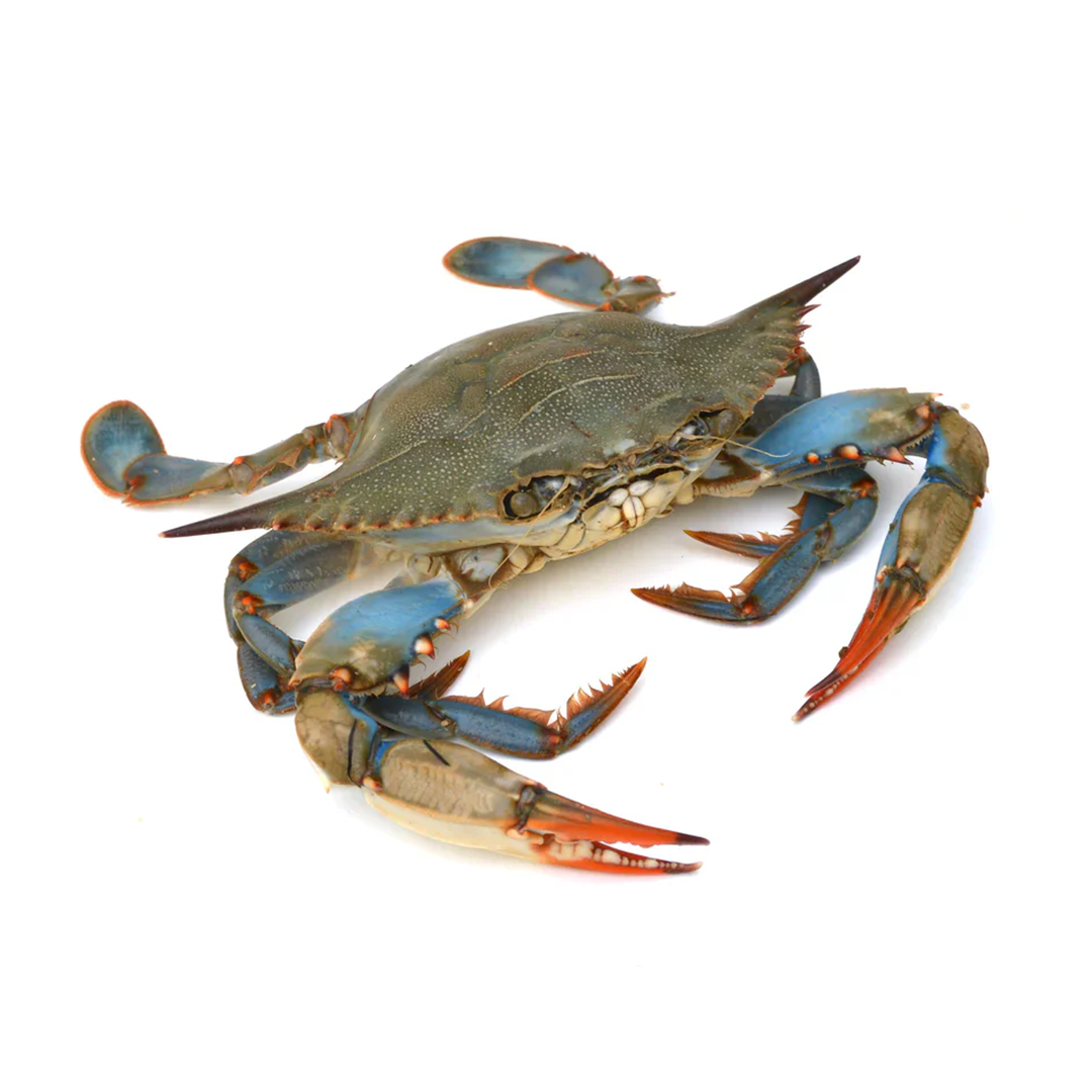 (Fresh) Blue Crab unclean - 1Kg