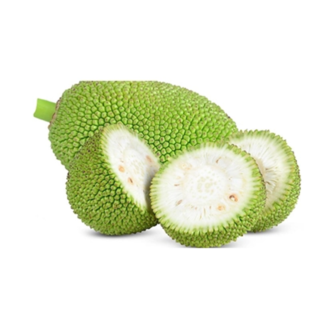 (Fresh) Baby Jackfruit - 500g