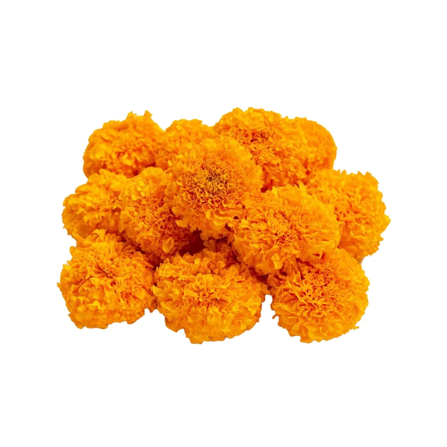 Marie Gold Flowers - 250g - Pooja - Vegspot