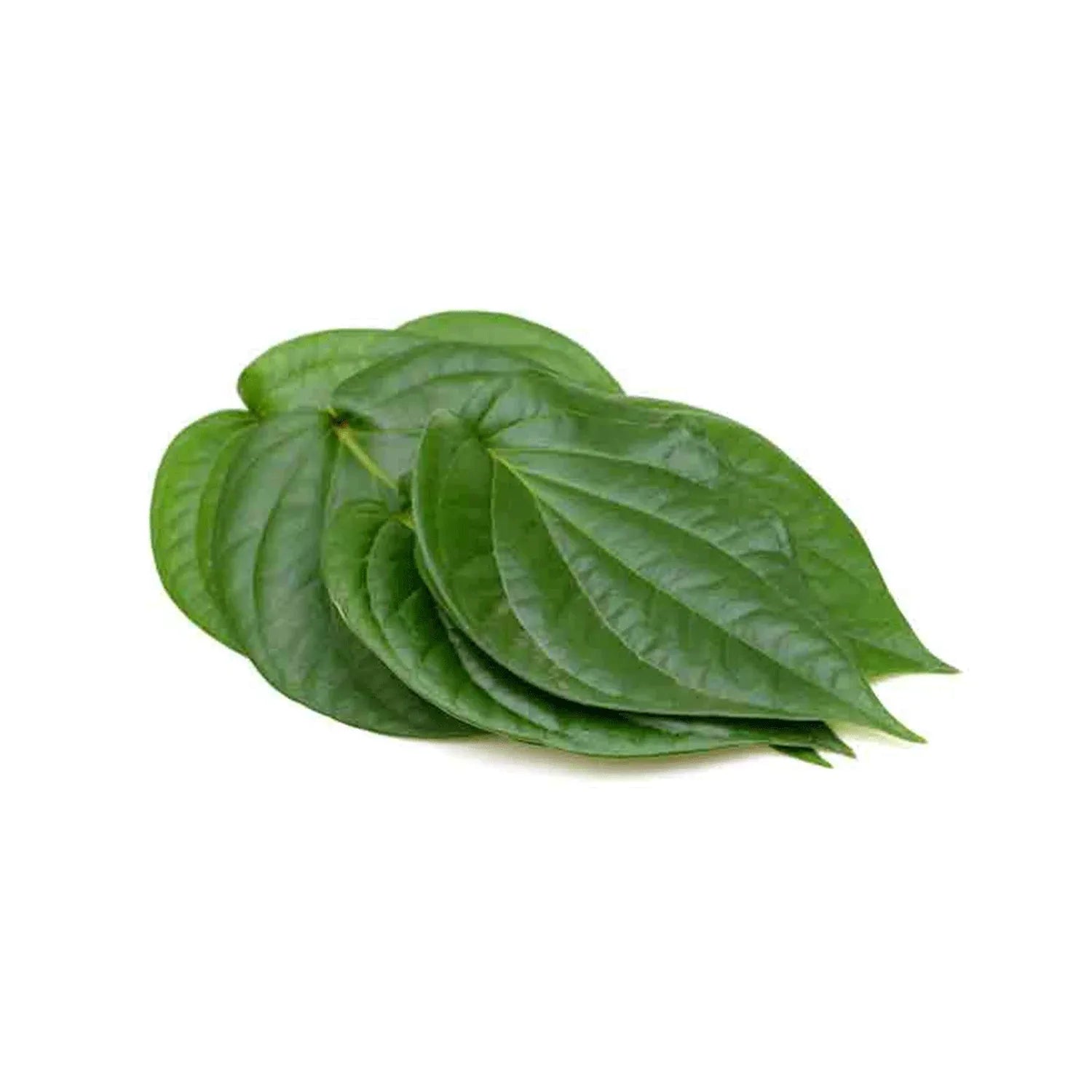 Bittel Leaves - 1 Piece - Pooja - Vegspot