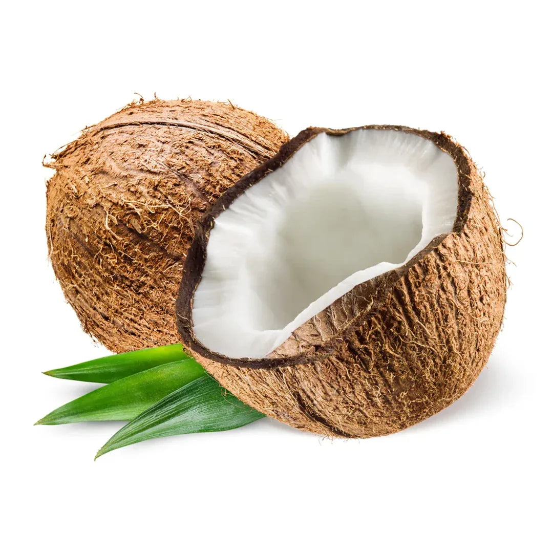 (Fresh) Coconut - 1 Piece - Fresh Fruits - Vegspot