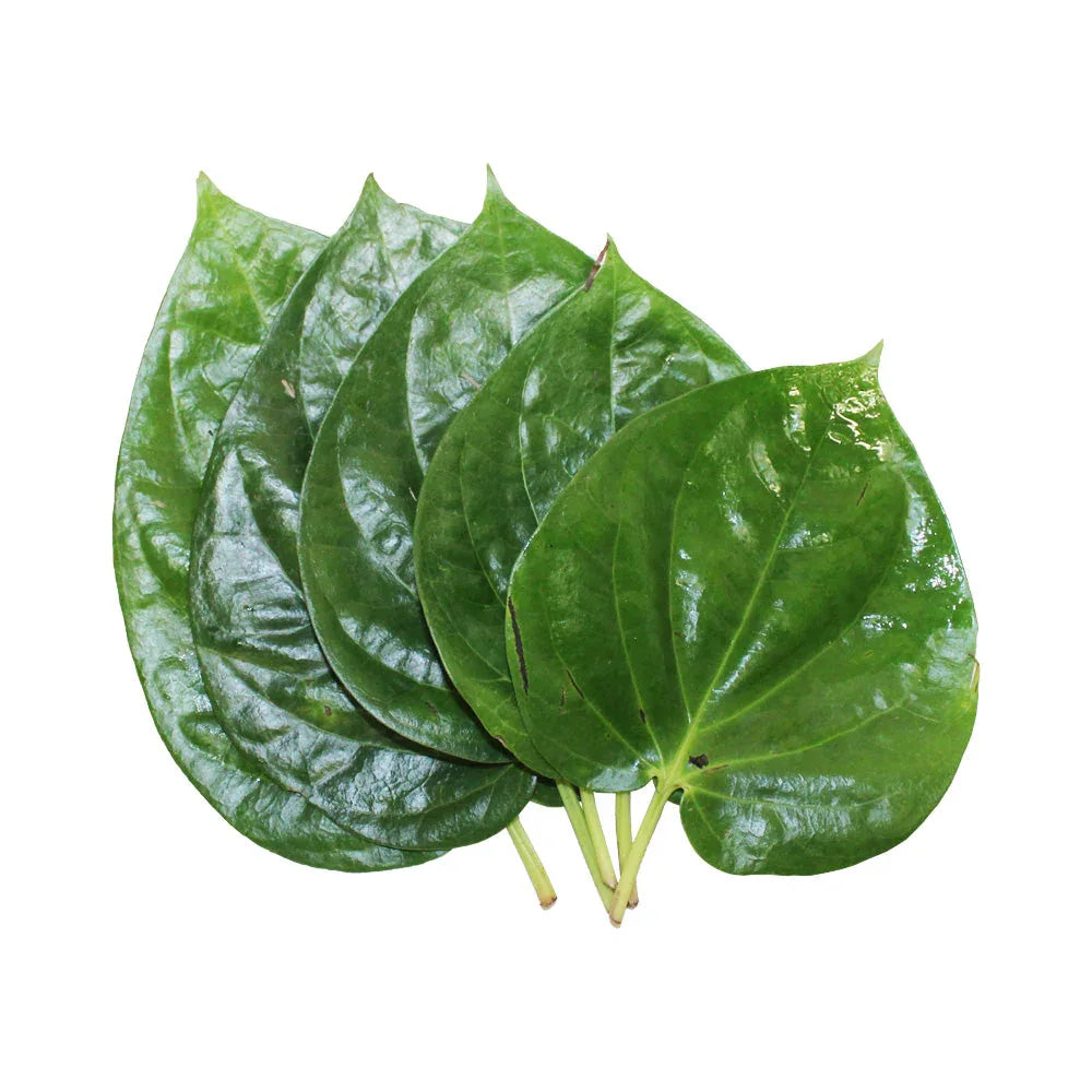 Betel Leaves Each - Pooja - Vegspot