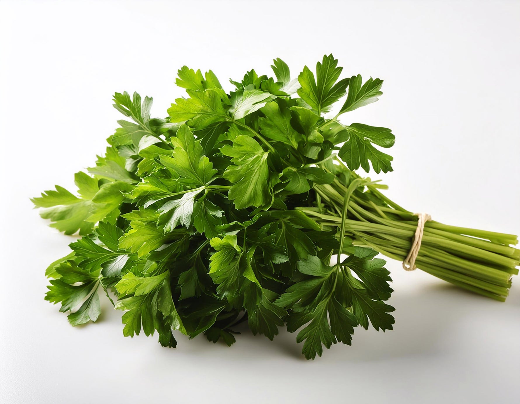 Parsley - 1 Bunch