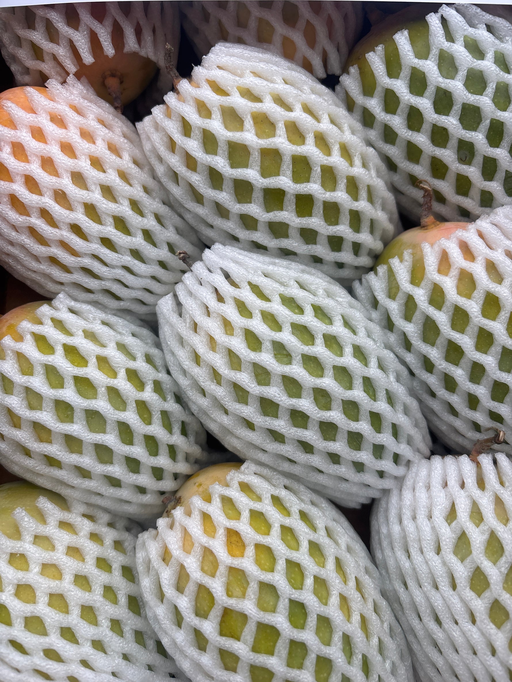 Kesar Mangoes 3kg