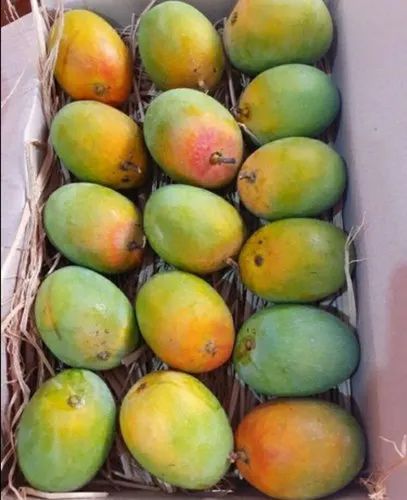Sindhura Mangoes 3Kg