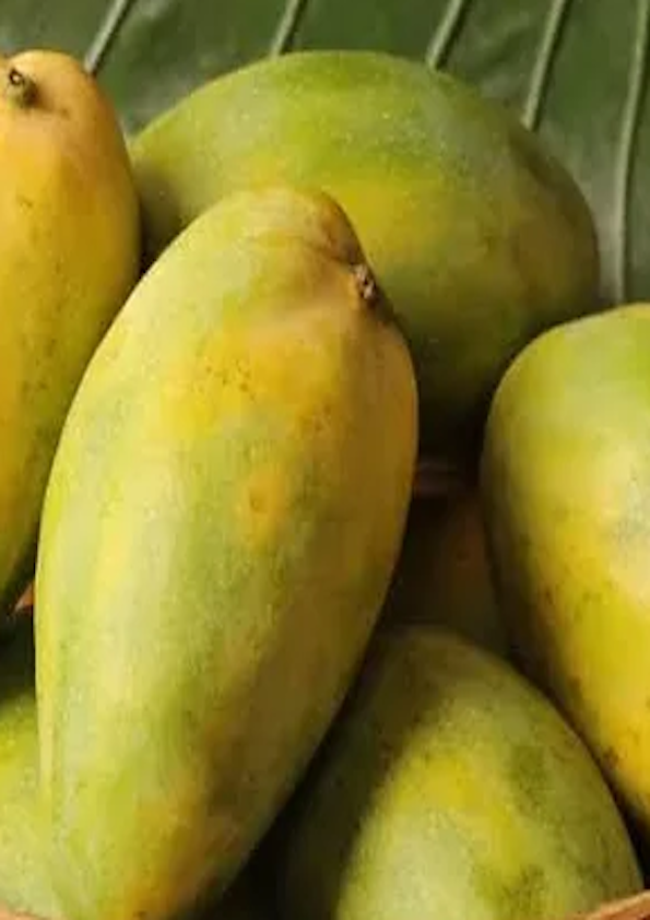 himam Pasand (himayat)Mangoes 3Kg